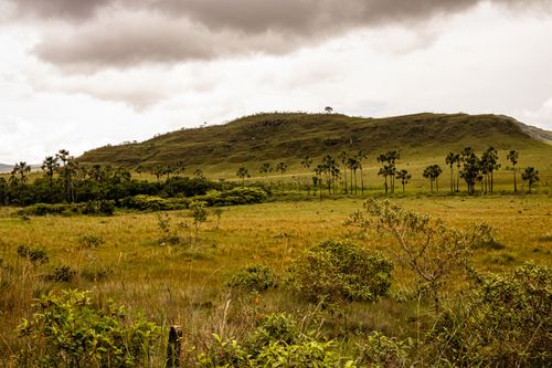 Free Beautiful vast landscape with hills, tall trees, and cloudy sky, capturing nature's tranquility. Stock Photo