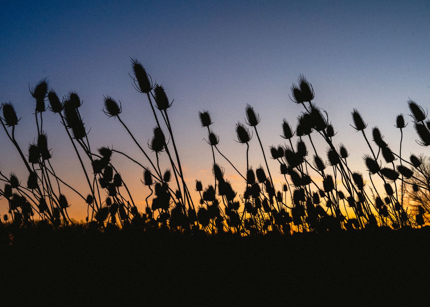 100,000+ Best Beautiful Images & Pictures · 100% Free Download · Pexels ...
