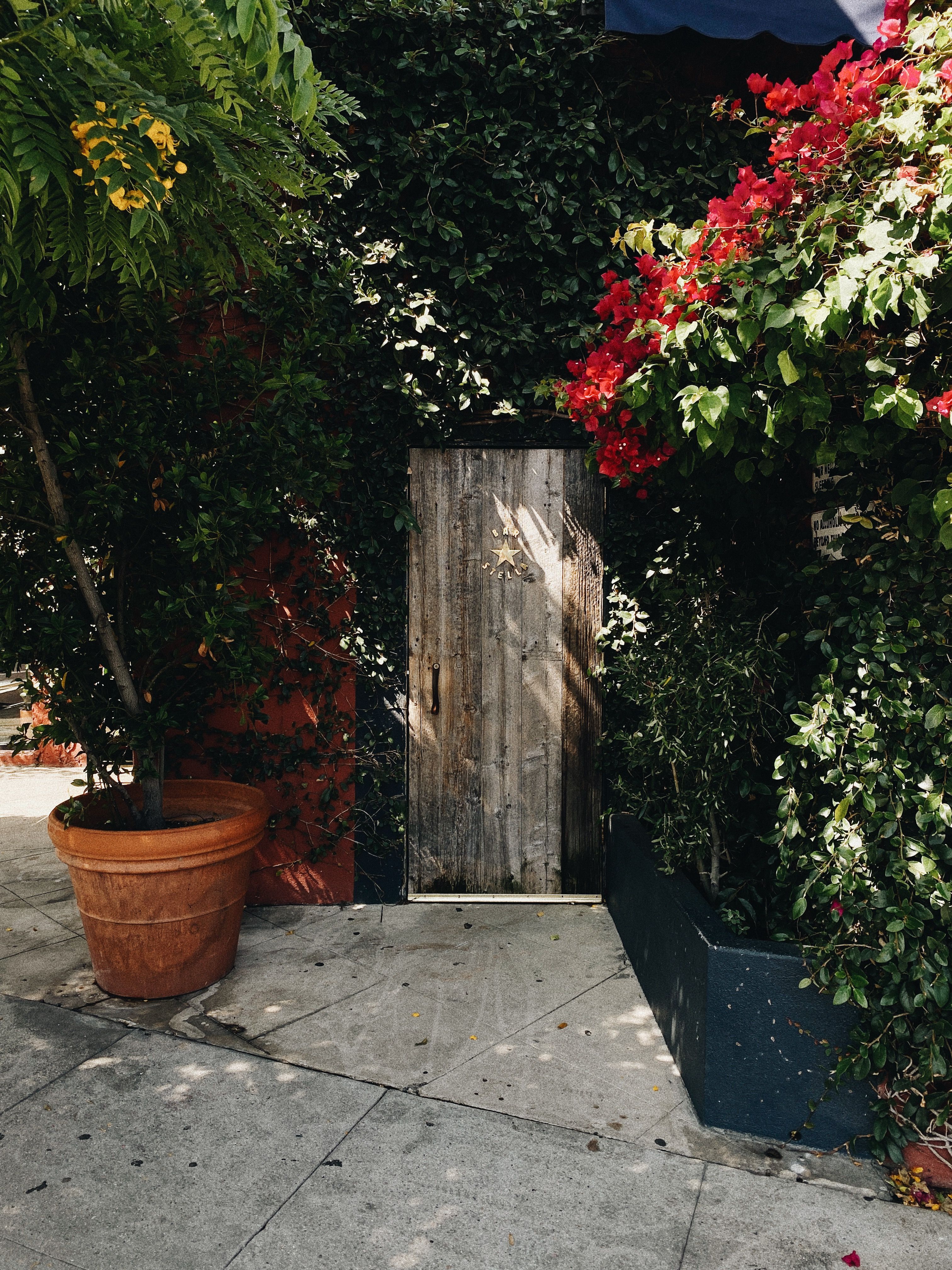 Rustic Wooden Door Surrounded by Lush Greenery in LA · Free Stock Photo