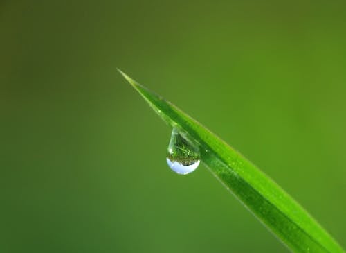 Free Water Dew Sticked on Leaf Stock Photo