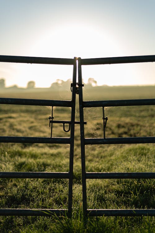  Old Gray Metal Gate On Lush Grass Field