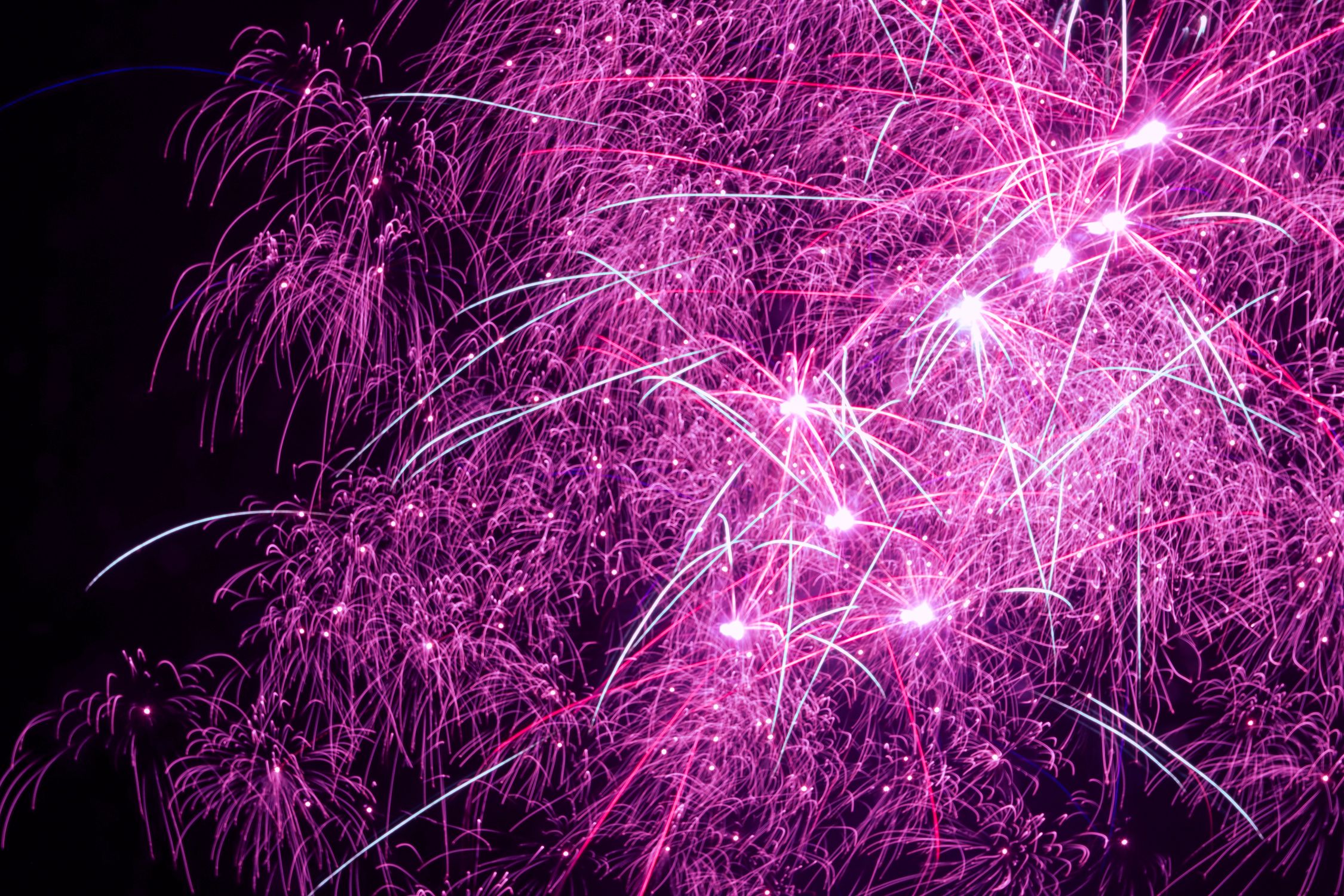 Pink Fire Works Pattern Vivid Pink Fireworks at Night in Jönköping · Free Stock Photo