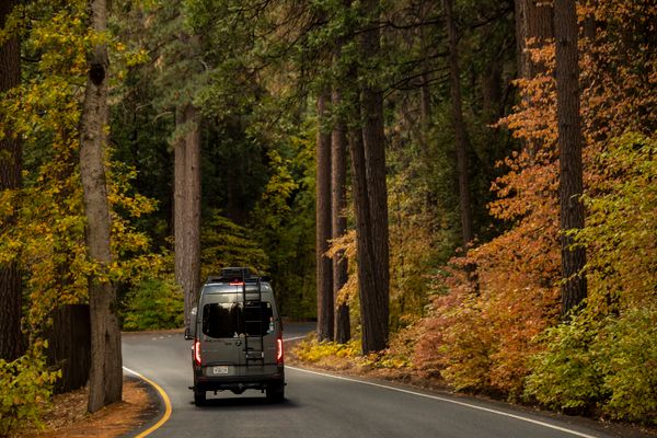 Grey van driving a curved road through tall autumn pines. Photo by Stephen Leonardi on Pexels