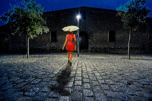 umbralla, 밤, 비의 무료 스톡 사진