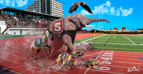 Безкоштовне стокове фото на тему «elefant, перегони, тварини»