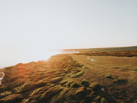 在日出时分，探索宁静的沿海景观，那里有郁郁葱葱的草原和明亮的地平线