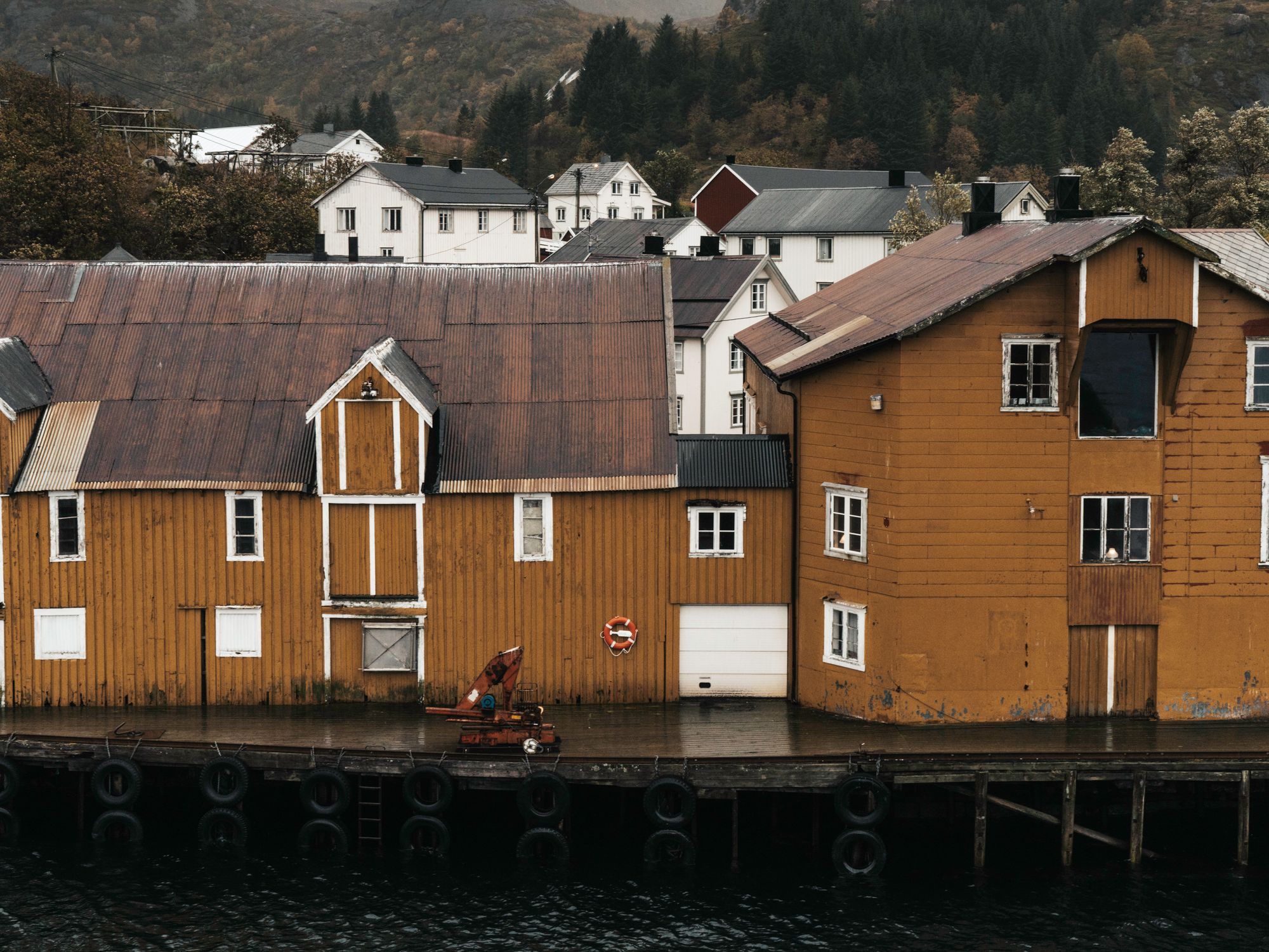 House Removals in Castletown, Scotland — professional movers carrying furniture on a house move