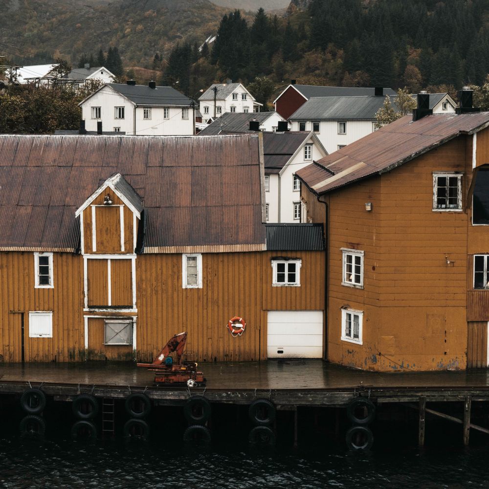 Great Totham — professional movers carrying furniture on a house move