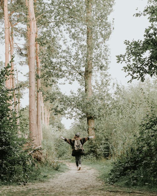 Personne Qui Marche Sur Le Chemin Près Des Arbres