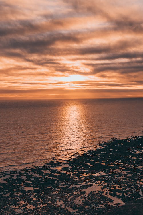 Free Photo Of Sea During Dawn Stock Photo