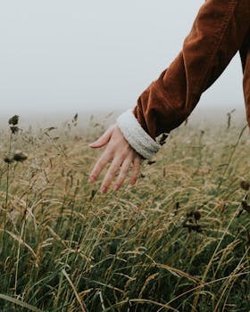 一个穿着棕色夹克的人，走进雾蒙蒙的田野，前景是模糊的草地