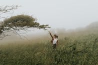 一名女子伸手探向雾中的树，营造出一种宁静而神秘的氛围