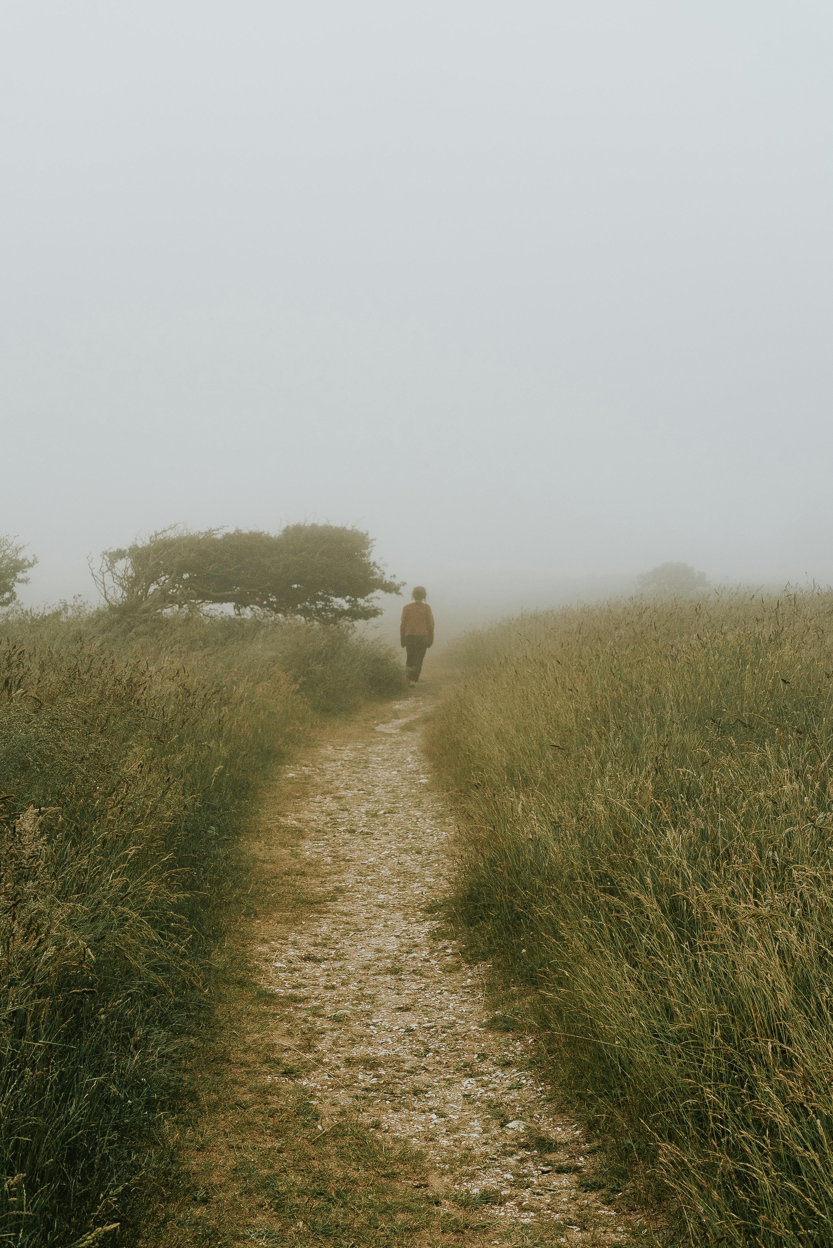 一个人独自走在雾乡的小路上，小路两旁是郁郁葱葱的草地