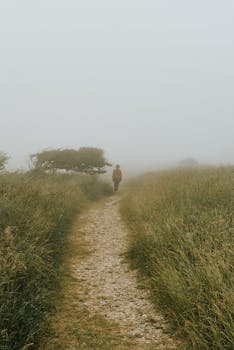 一个人独自走在雾乡的小路上，小路两旁是郁郁葱葱的草地