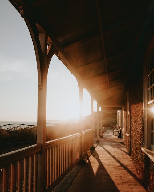 Free Morning Sunlight Stock Photo