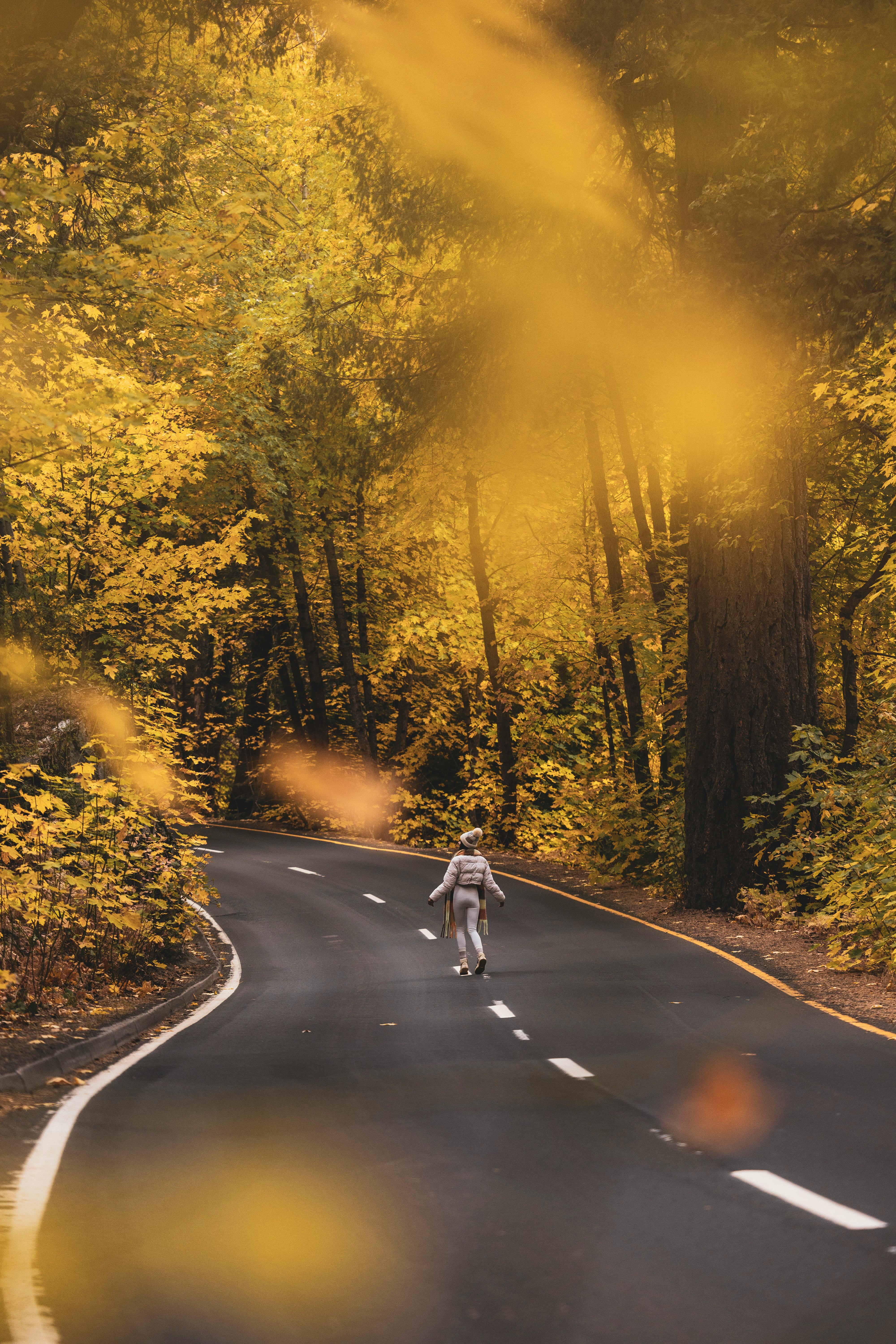 A lone person strolls on a winding road amidst vibrant fall foliage.