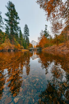 Tranquil autumn landscape with a river and reflection in Yosemite National Park.