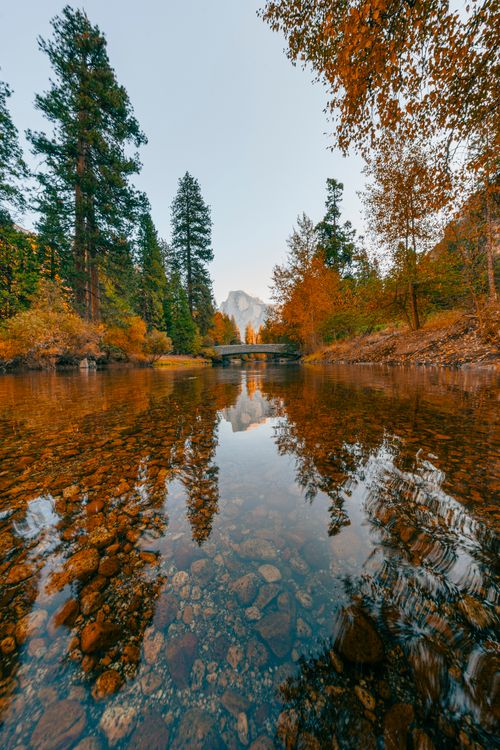 Free Tranquil autumn landscape with a river and reflection in Yosemite National Park. Stock Photo