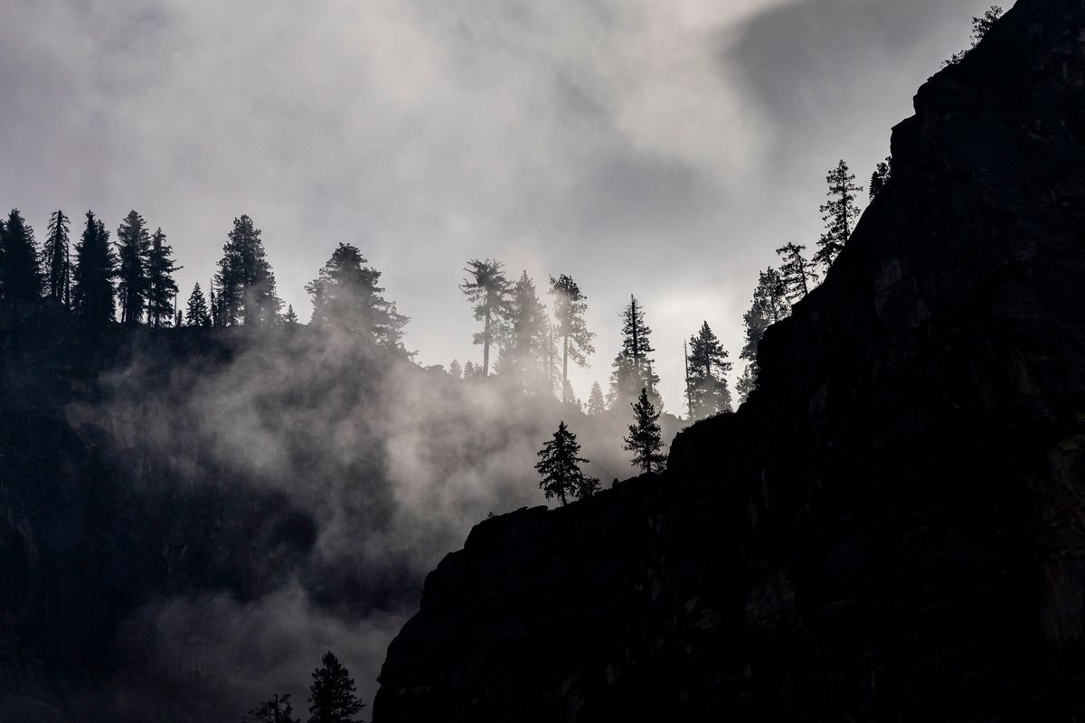 Fog drifting through a silhouetted pine ridge at first light — photo by Stephen Leonardi on Pexels