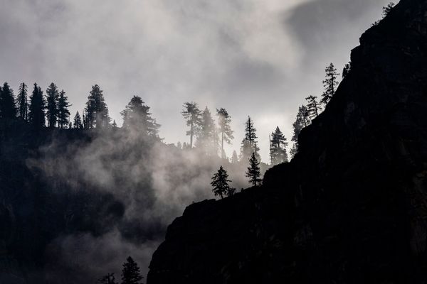 Cover art for Conquest of the Empire of Ash — a misty pine ridge at dusk. Photo by Stephen Leonardi on Pexels