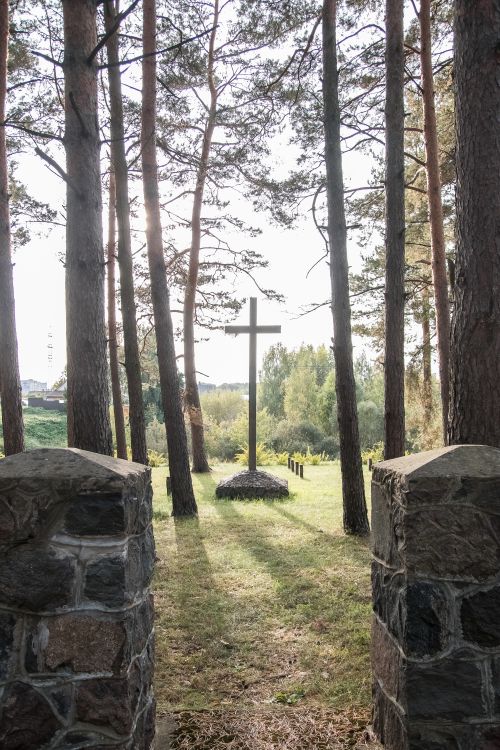 Free Wooden cross in a peaceful forest glade under dappled sunlight. Stock Photo