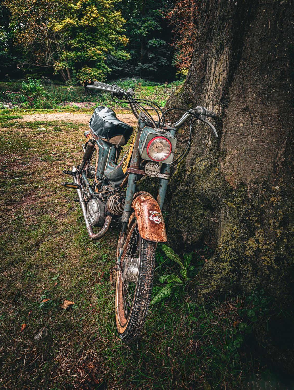 Spring Over Tree Motorcycle Vintage Motorcycle Leaning Against Tree in Forest · Free Stock Photo