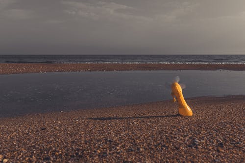 Free stock photo of farewell, sea, seasonal