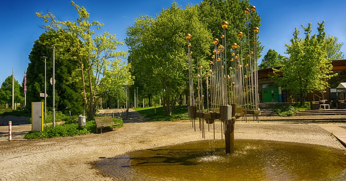 Kostenloses Foto Zum Thema Baume Blauer Himmel Dekoration