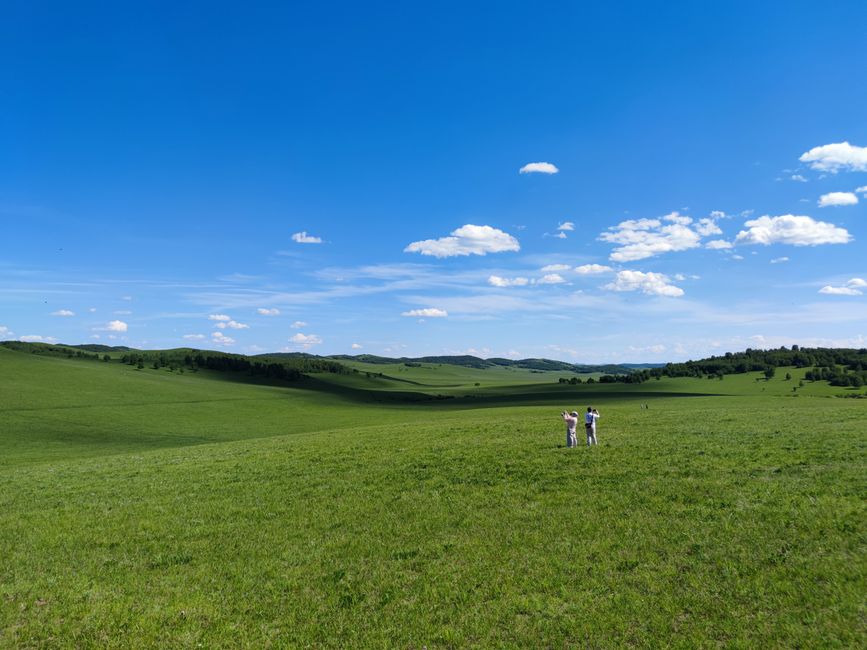 Trouver un travail en Mongolie en 2026 : guide complet