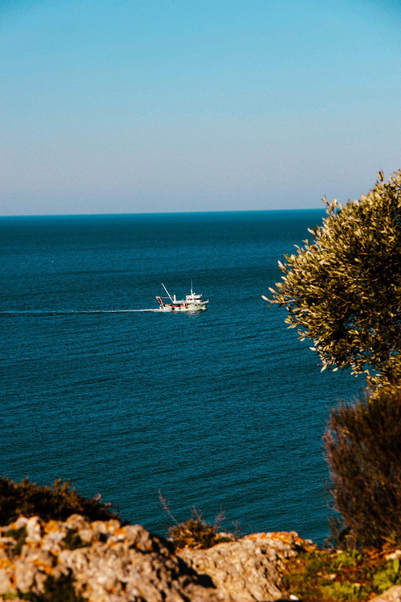 Fishing Excursions experience image 2