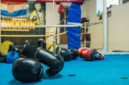 Free stock photo of boxing, boxing club, boxing gloves