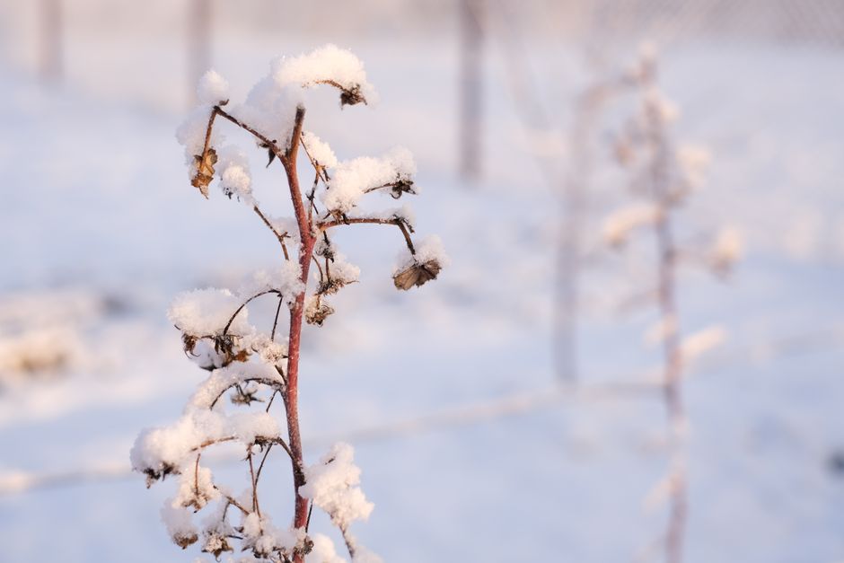 Photo by Kateryna Dyachenko on pexels