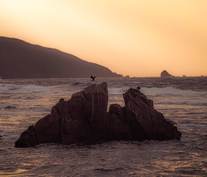 A serene sunset over rock formations on the Amami coast, Japan.