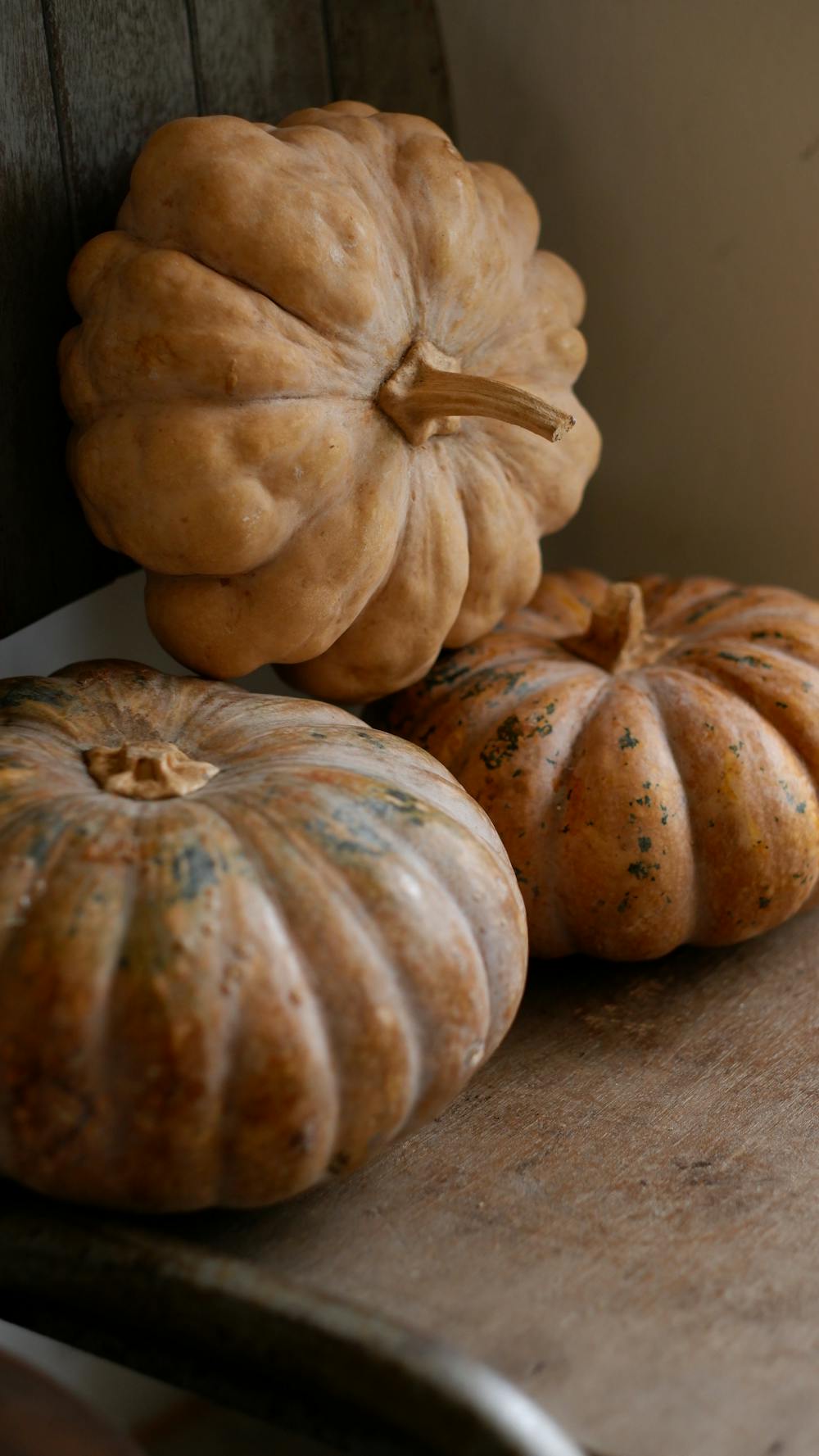 Harvest Vegetable Risotto