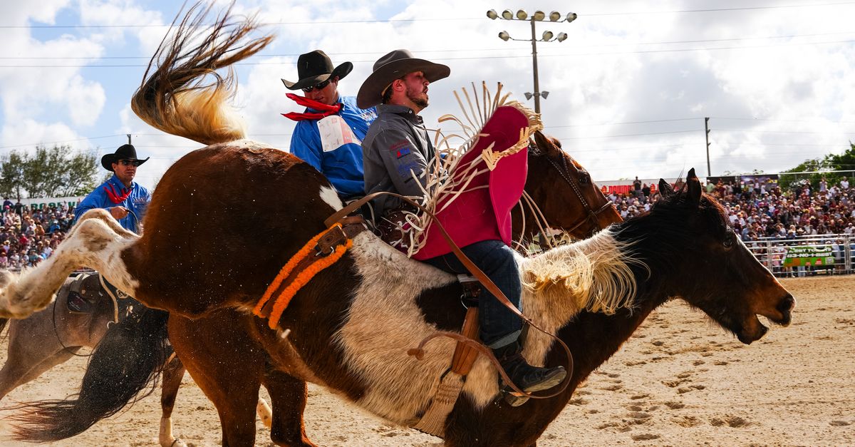 Exciting Rodeo Riders at Outdoor Event · Free Stock Photo