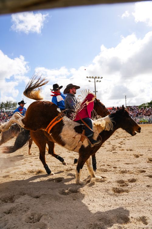 Exciting Rodeo Riders at Outdoor Event 路 Free Stock Photo