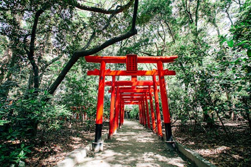 Orange Wooden Gates