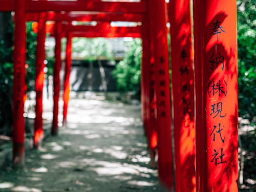 Shallow Focus Photo of Red Post