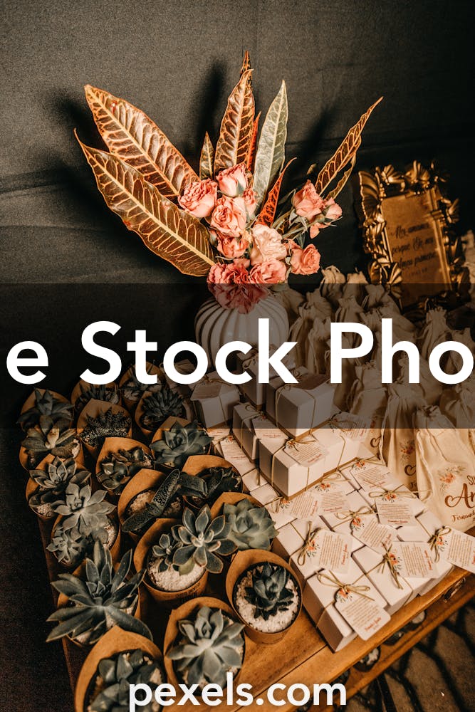 50+ Engaging Souvenirs Photos Pexels · Free Stock Photos