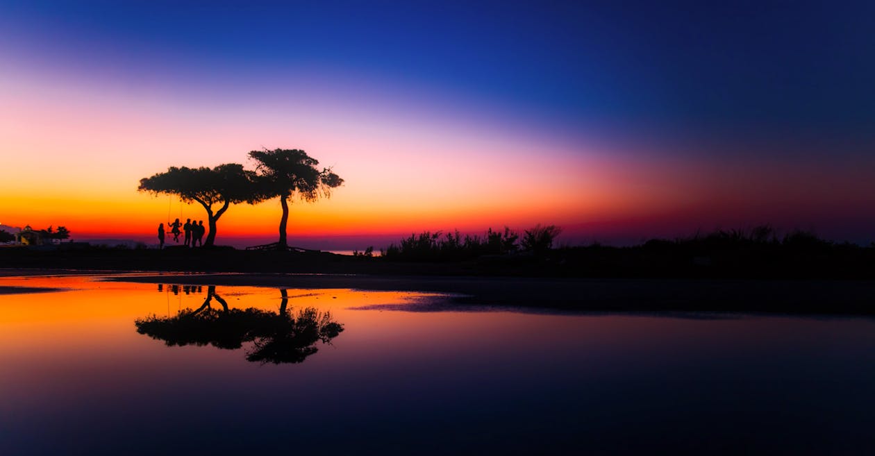 бесплатная Отражение деревьев на воде Стоковое фото