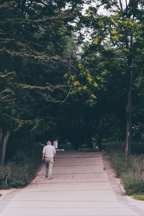 Free A person walks alone on a serene tree-lined path, evoking tranquility. Stock Photo
