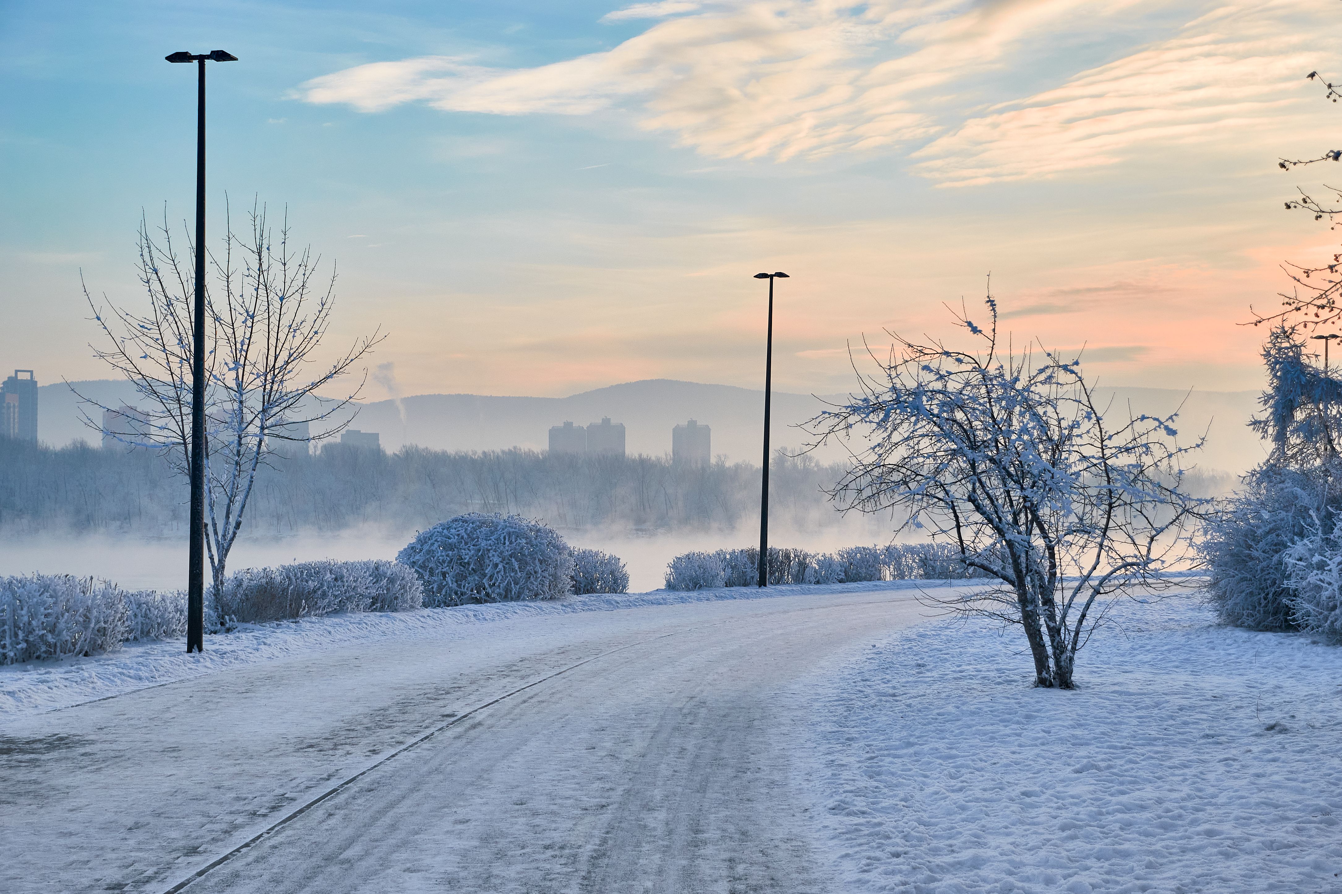 Serene Winter Landscape with Frosted Trees · Free Stock Photo