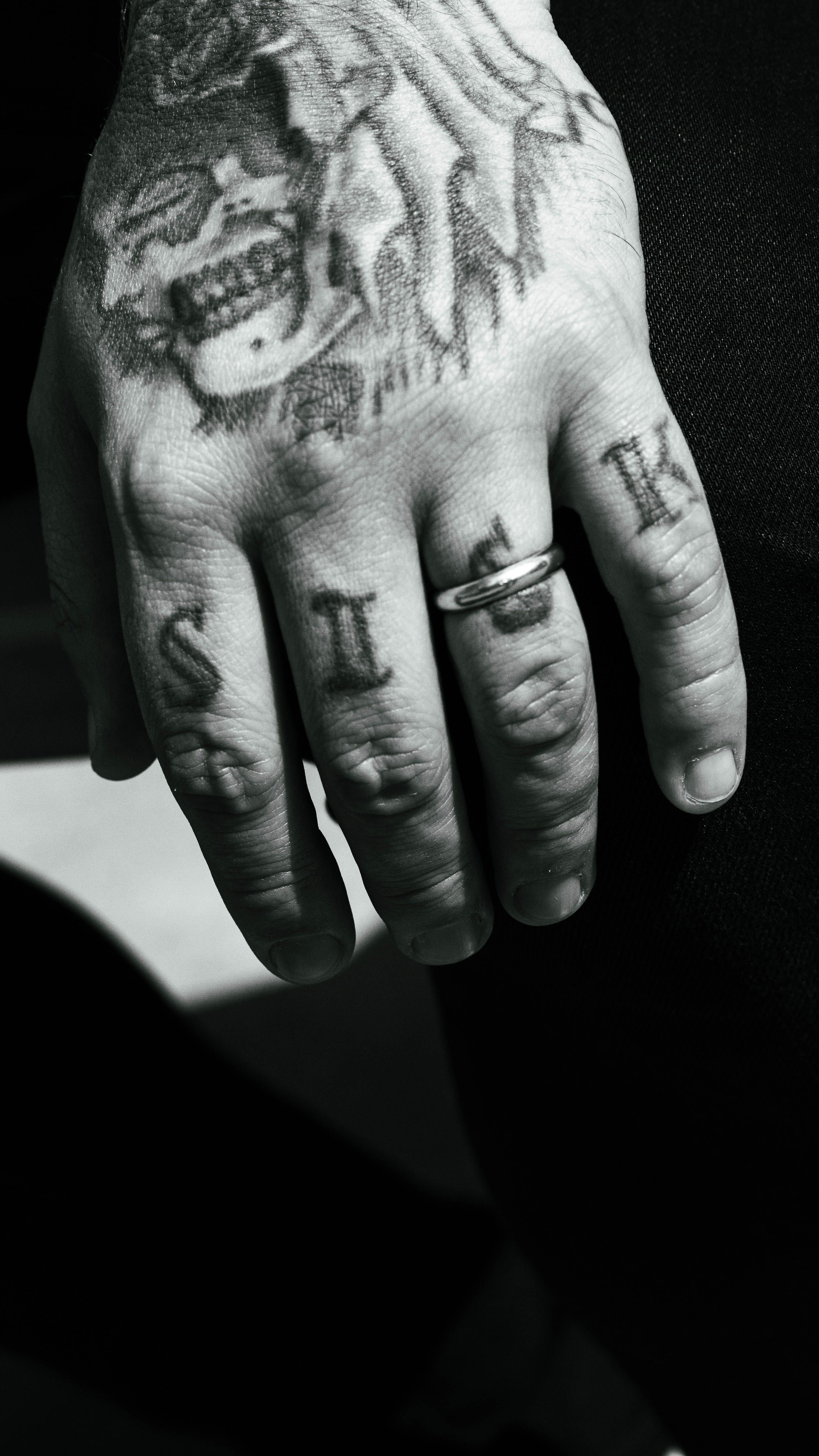 Person With Tattoo Holds Python · Free Stock Photo