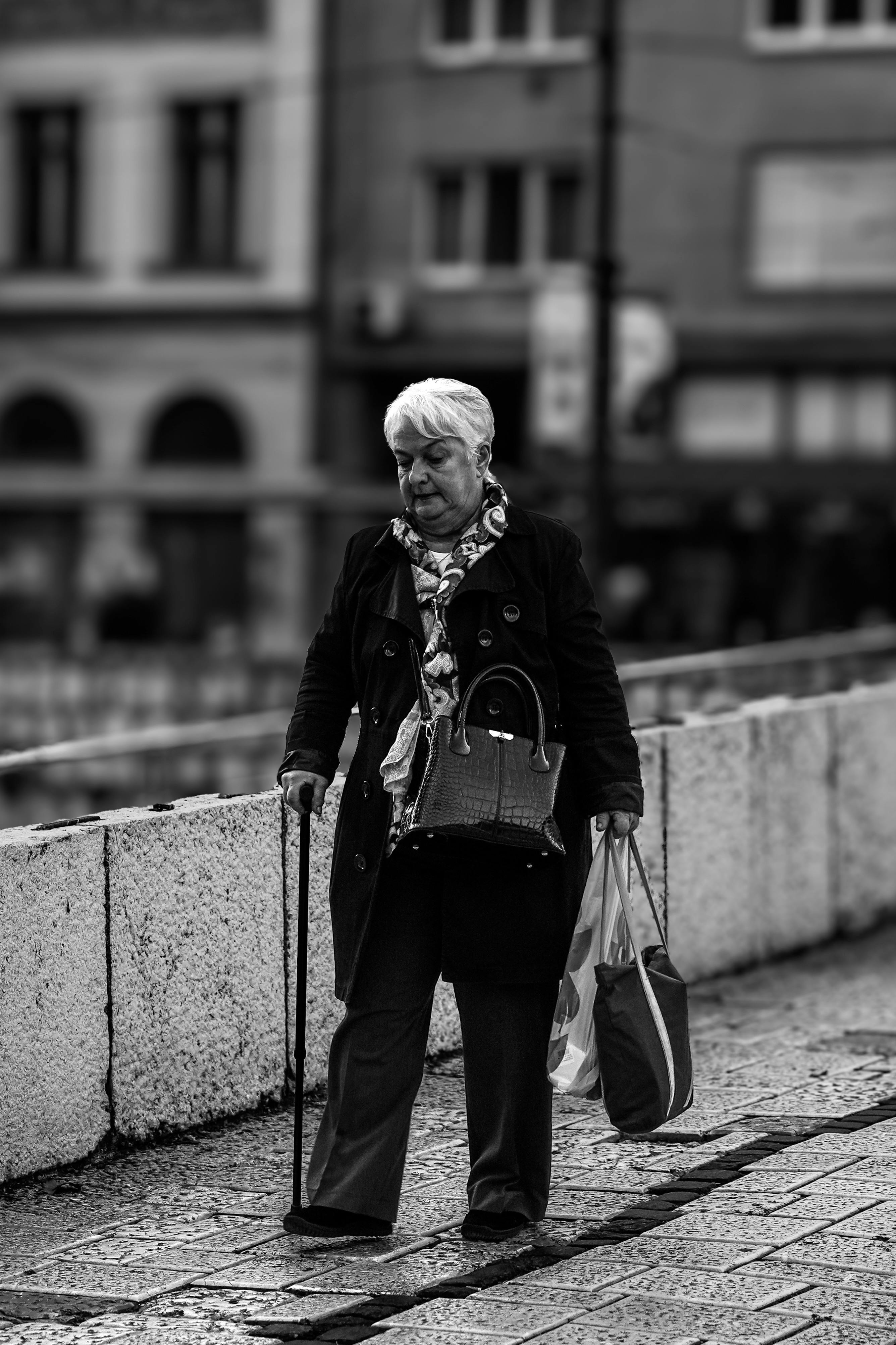 Lady Sonia Photos, Download The BEST Free Lady Sonia Stock Photos & HD