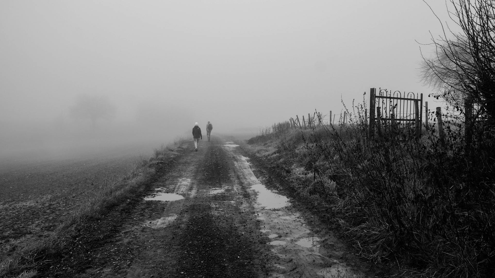 Eerie black and white photo of two people walking down a foggy rural path.