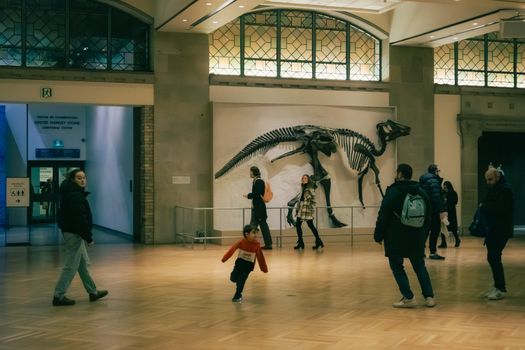 Museum & Culture in Toronto