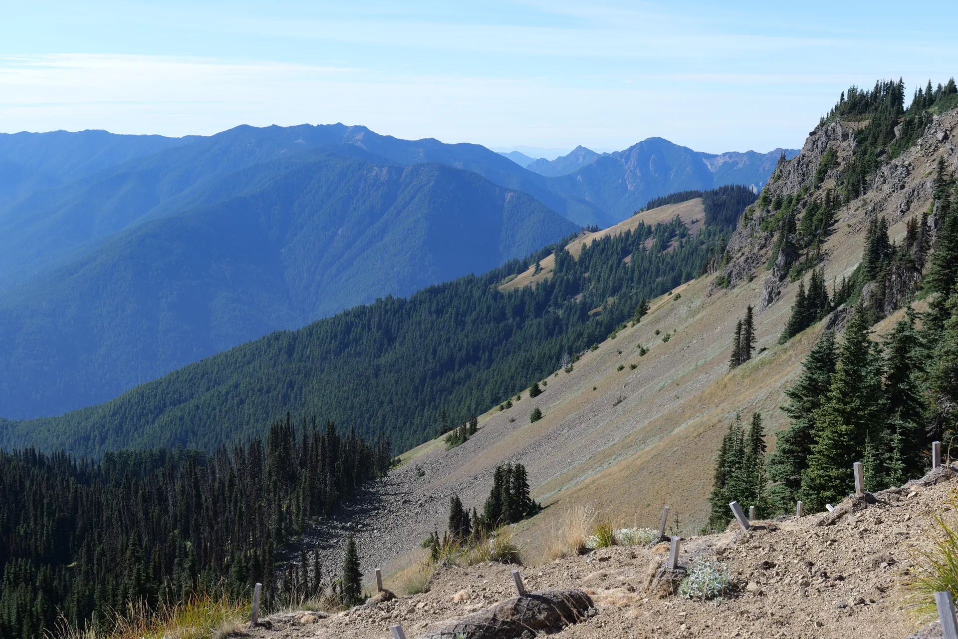 Hurricane Ridge Hikes: Easy Meadow Trails With Mountain Views
