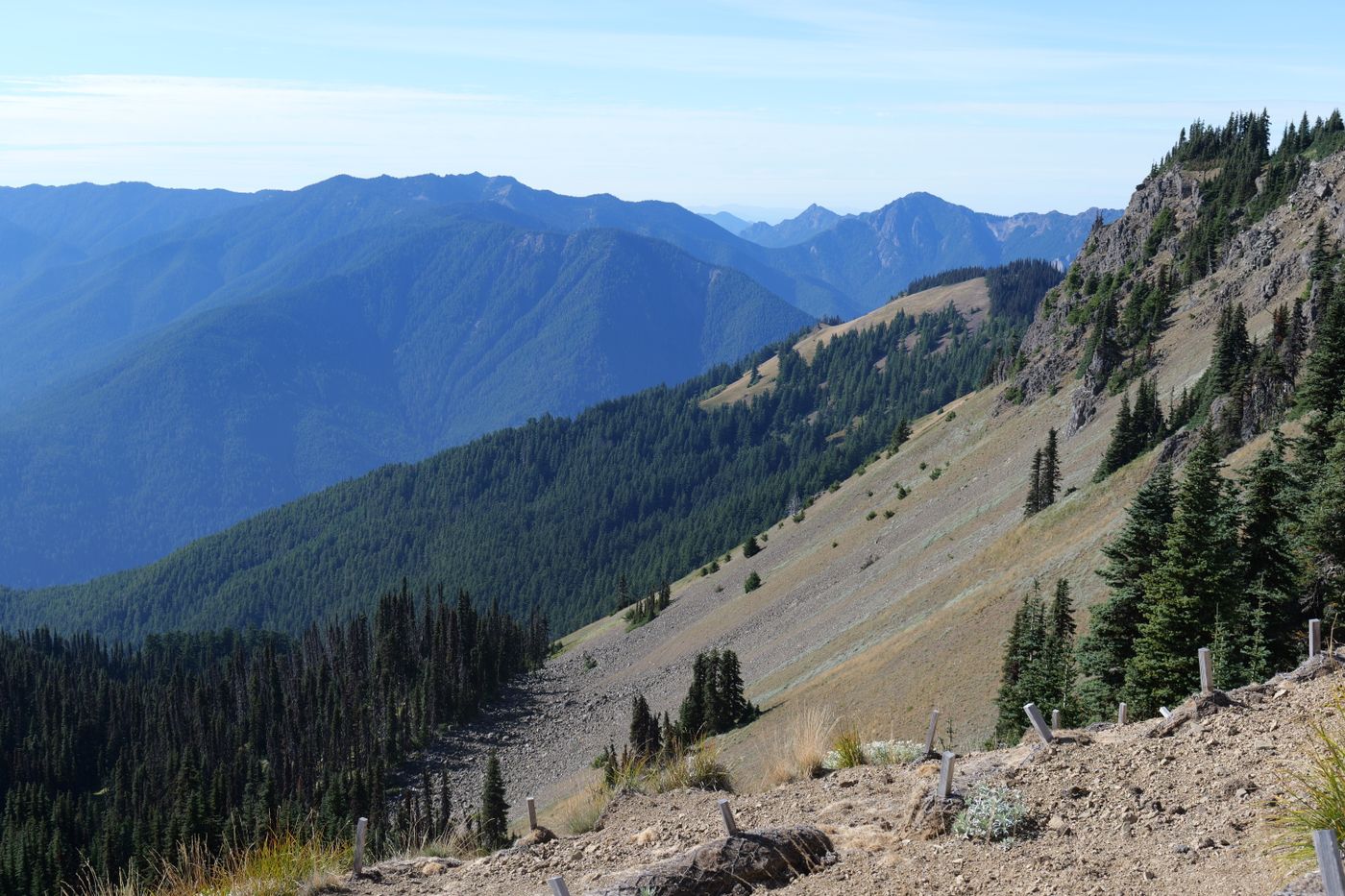 Panoramic summit view from Hurricane Ridge, the full sweep of the Olympic Mountains, Olympic National Park