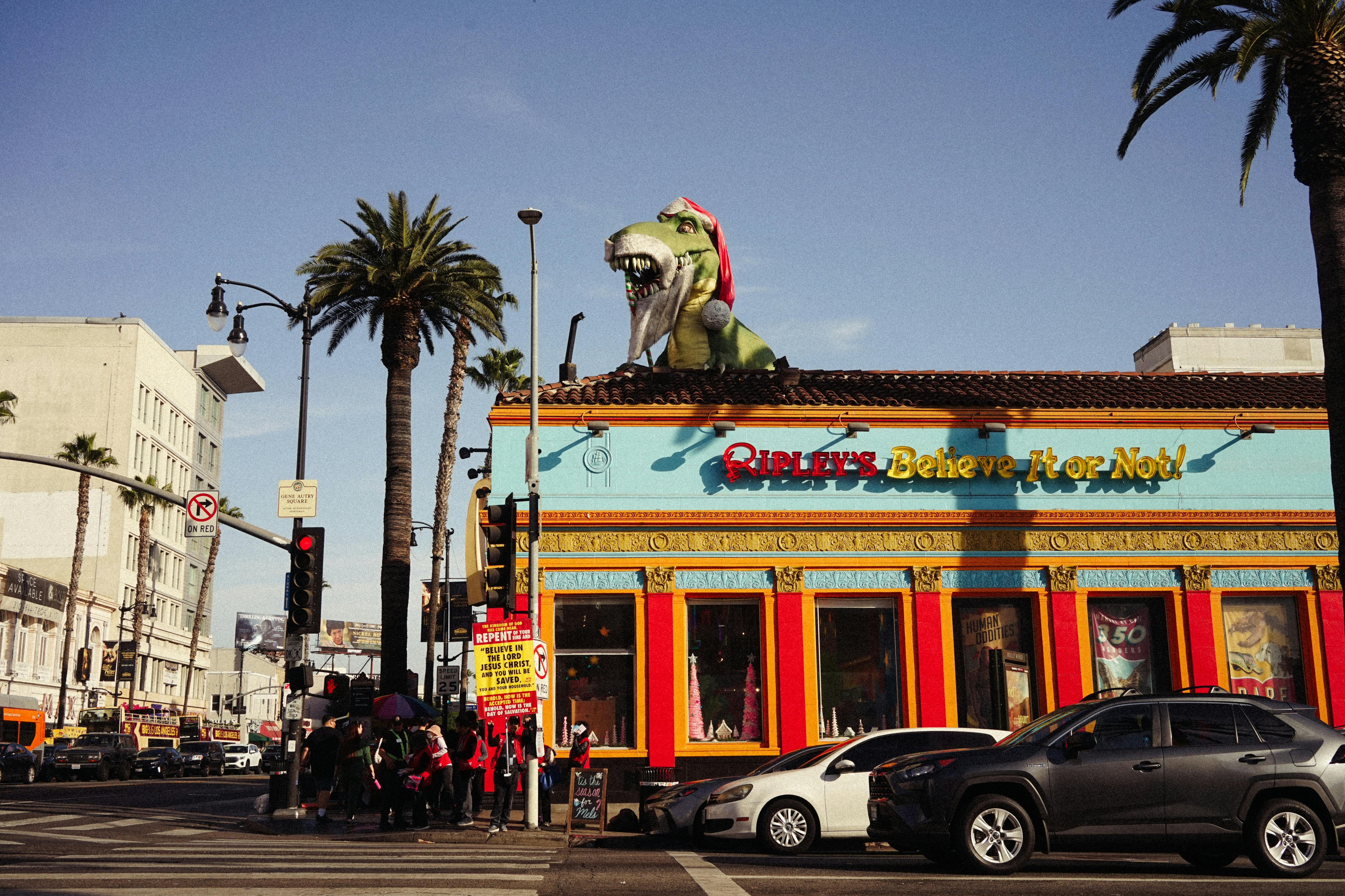 general lifestyle shop los angeles phone number — Photo by Darya Sannikova on Pexels