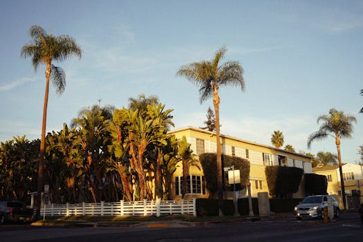 Mid-century apartment building with tall palm trees and warm sunlight.